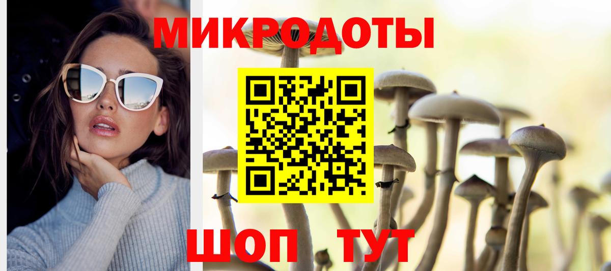 Галлюциногенные грибы мицелий Уссурийск
